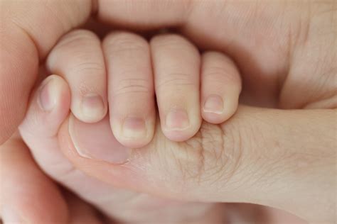 Baby Hand Free Stock Photo - Public Domain Pictures