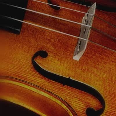 stentor musics business transformation
