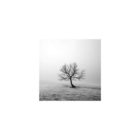 Tree Poster