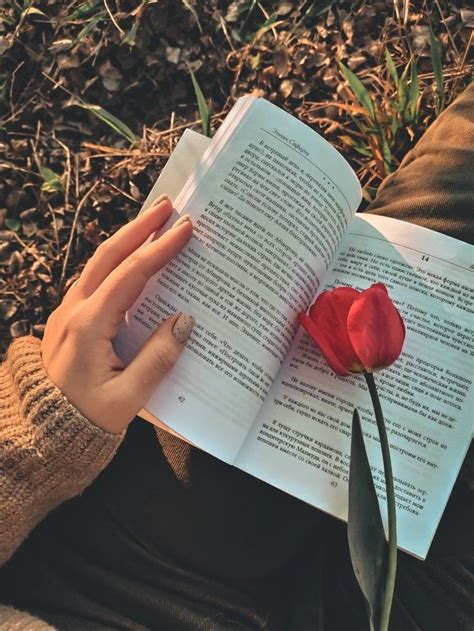 𝐂𝐡𝐞𝐫𝐮𝐛𝐕𝐢𝐛𝐞𝐬 | Fotos de livros, Ideias de fotos, Inspiração para fotos