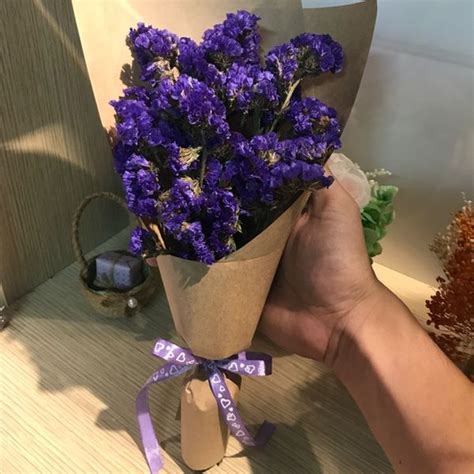 Ý Nghĩa Hoa Salem, Nguồn Gốc, Cách Trồng & Hình Ảnh Đẹp – HoaĐẹp365