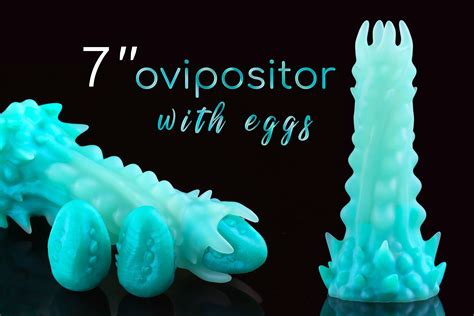 Ovipositor With Eggs Small Eggs Kegel Eggs Silicone Eggs - Etsy Australia
