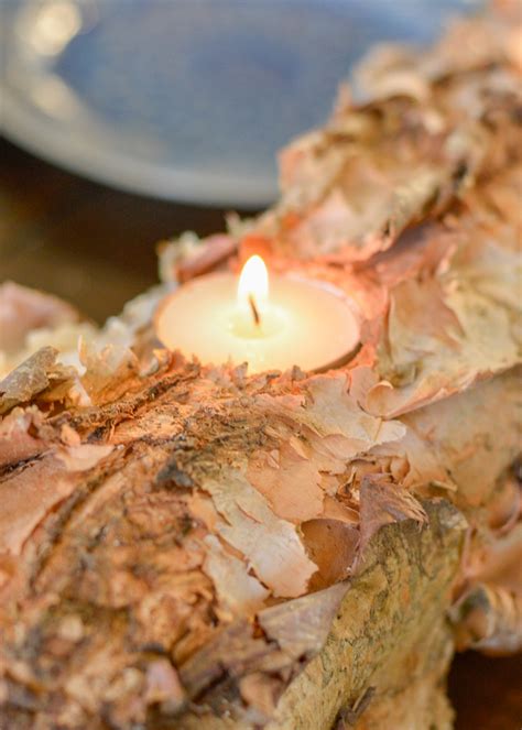 Birch Branch Candle Holder