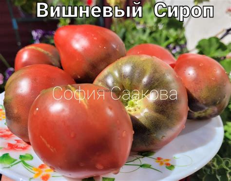 Вишневый Сироп — Семена Томатов