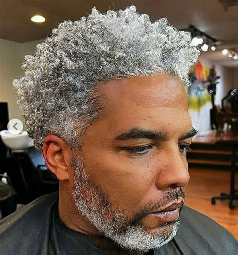 Natural Grey Hair Men