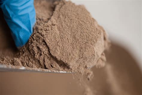 mud mud glorious mud lush south africa