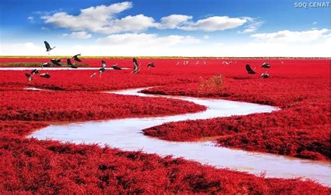 Hoş Geldiniz: Menzere sekilleri (25 foto)