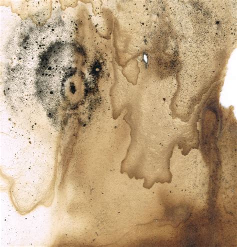 stained paper 09 by carlbert on DeviantArt