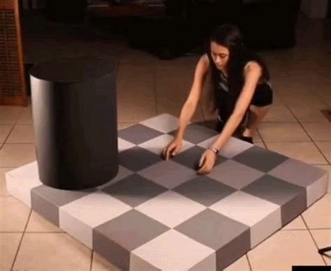 The checker shadow illusion : r/blackmagicfuckery