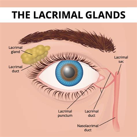 Blocked Tear Duct