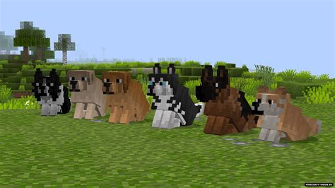 Better Dogs [1.21.5] [1.20.6] [1.19.4] [1.16.5] / Текстуры для ...