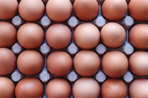 Egg Texture Stock Photos, Images and Backgrounds for Free Download