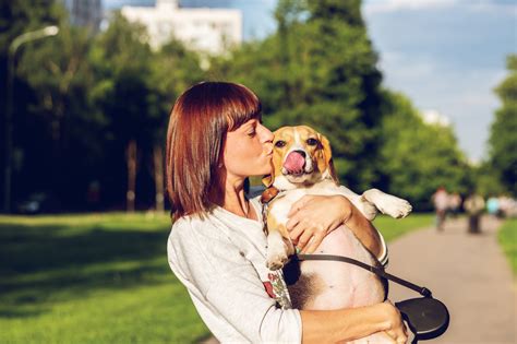 Hunde: Etwas zuviel der Zuneigung? - Tirol