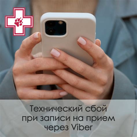 Перебои в работе Viber – Ветеринарные клиники Доктор Вет