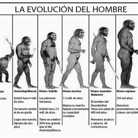 (PDF) EL PERIODO CUATERNARIO, GLACIACIONES Y HUMANOS