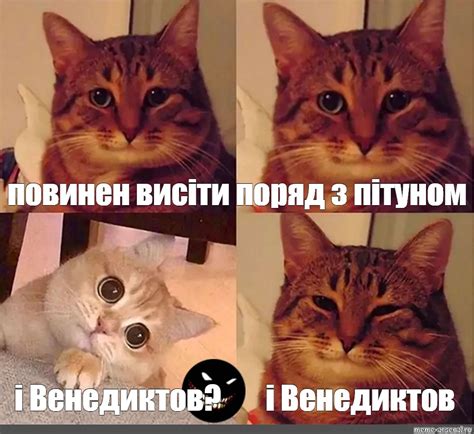 Создать мем "Кошка, кот мем, котейка" - Картинки - Meme-arsenal.com