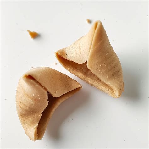 Fortune Cookie Isolated Art Free Stock Photo - Public Domain Pictures