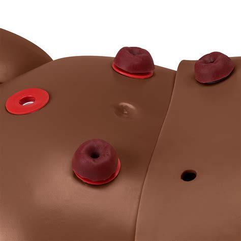 Gaumard® Multipurpose Patient Care and CPR Pediatric Simulator – 5-Year ...