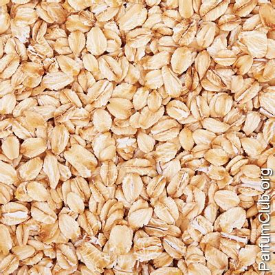 Овсяное зерно в парфюмерии: нота овсяного зерна (oat) в духах и ароматах