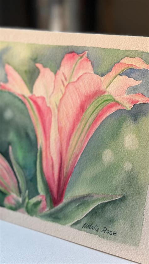 Artist & photographer Natalia Rose | A sneak peek into my new