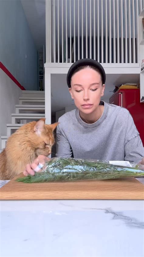 почему Басилий всегда меня кусает? на самом деле не всегда (любовный ...