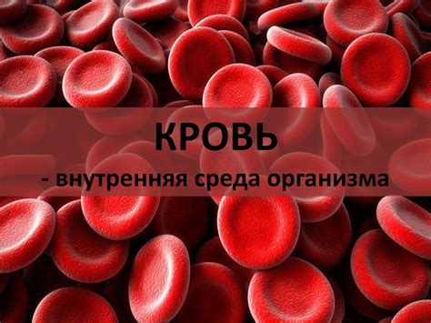 Кровь - внутренняя среда организма - online presentation