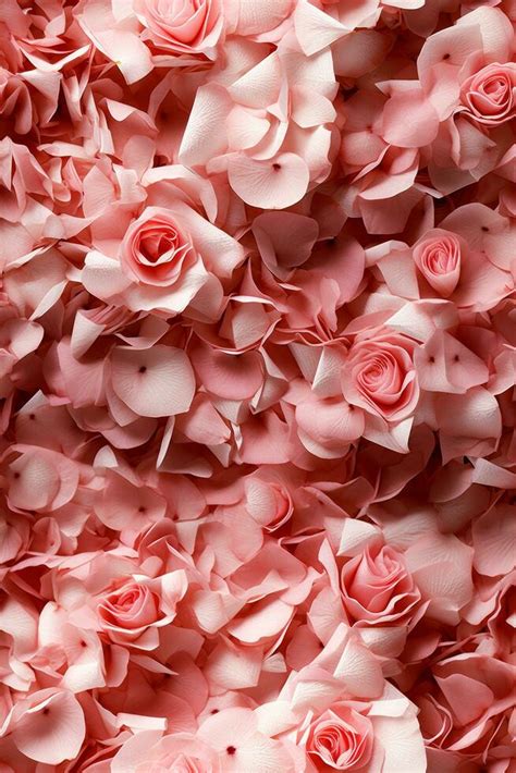 pink roses background 29824710 Stock Photo at Vecteezy