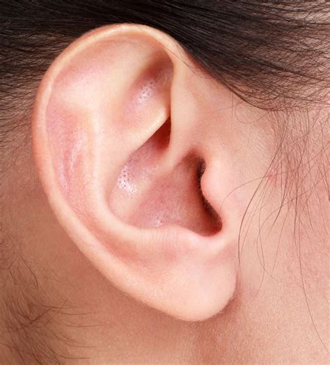 Female ear Stock Photos, Royalty Free Female ear Images | Depositphotos