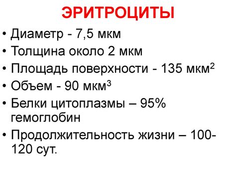 Эритроциты. Физиология эритрона - презентация онлайн