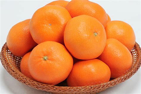 静岡県の特産品 | 静岡県のJAグループ総合サイト