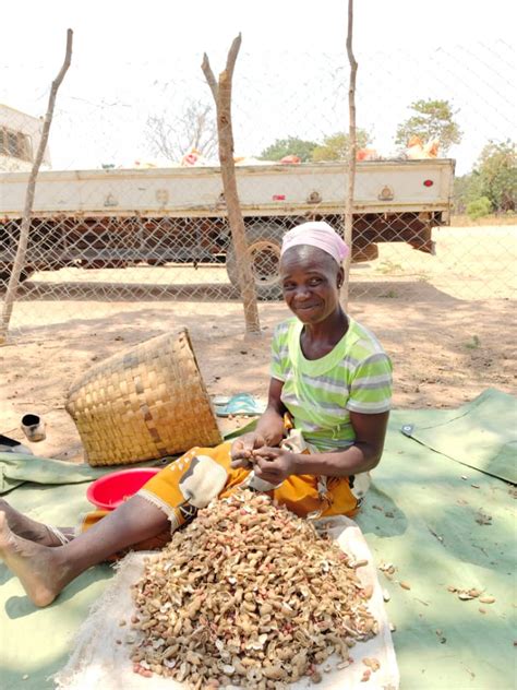 usaids africa trade  investment activity food resilience