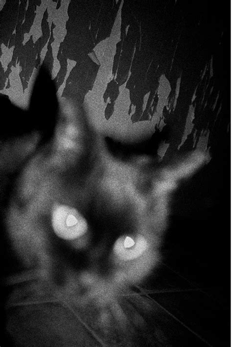 Arthur Bondar - Schilt Publishing and Gallery