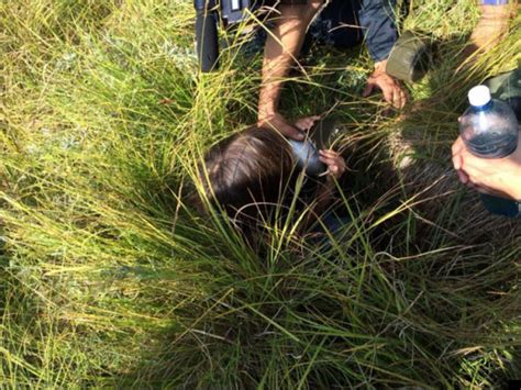Heroic Puppy Saves Karina Chikitova, 3, Lost In Siberian Forest For 11 Days