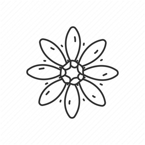 Flower, goldenrod, nebraska, state, state flower, state symbol, usa ...