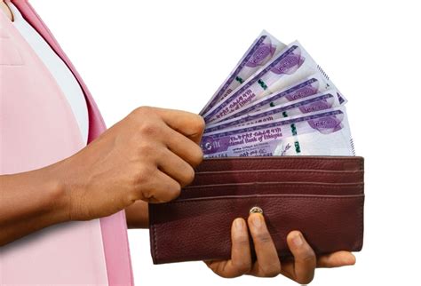 loans elsabi micro finance institution sc