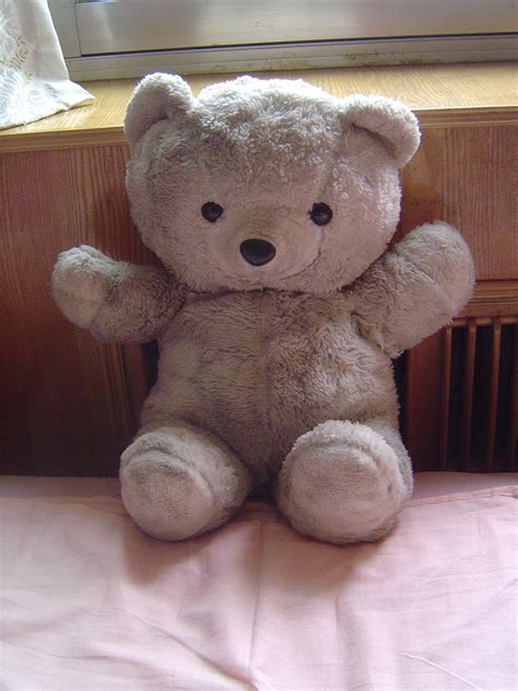 My beloved teddy « ((little fat notebook))