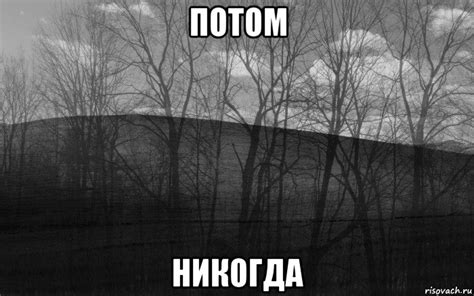 потом никогда, Мем безысходность лес - Рисовач .Ру