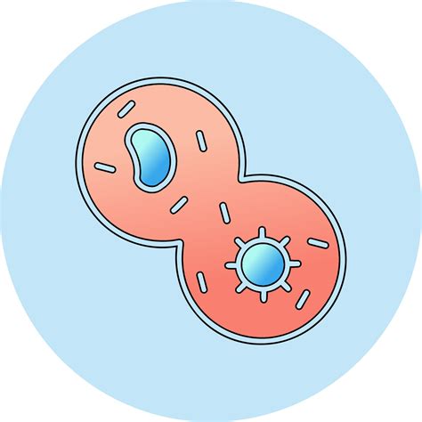 Mitosis Vector Icon 39277359 Vector Art at Vecteezy