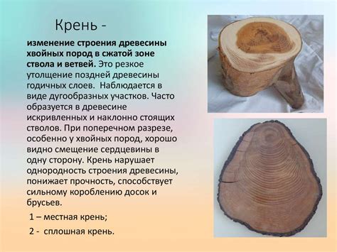 Пороки дерева и древесины - online presentation