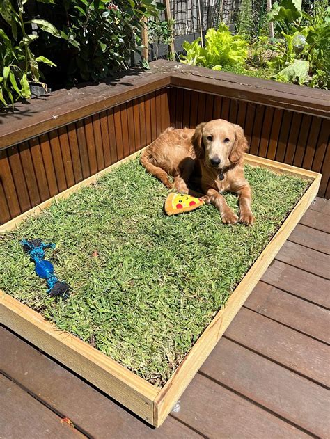 Real Grass Puppy Potty