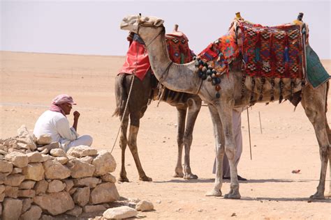 The Great Pyramids in Egypt — Neal Hendrix