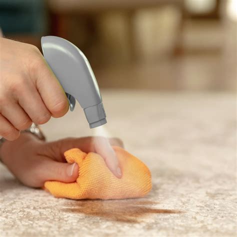 How to Clean Pet Stains on Floors, Furniture and More