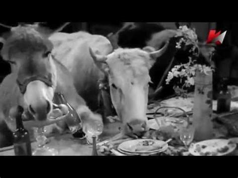 Веселые ребята, трейлер 3 мин. - YouTube