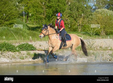 Riding horse in water hi-res stock photography and images - Alamy