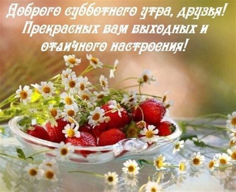 Доброе утро суббота картинки прикольные и красивые