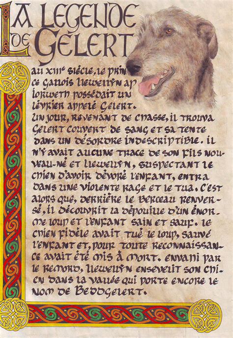 Irish wolfhound by Chawia on DeviantArt