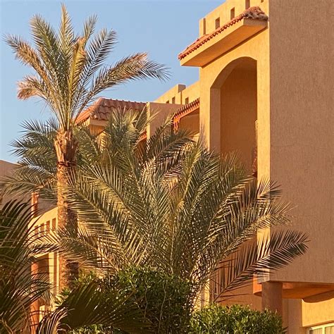 PARROTEL LAGOON RESORT - Updated 2025 Reviews, Photos & Prices