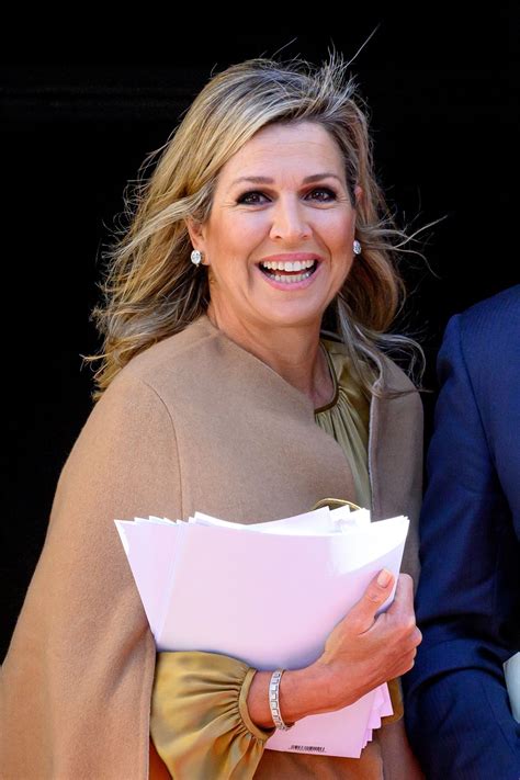 queen maxima  year reception  guests   royal palace