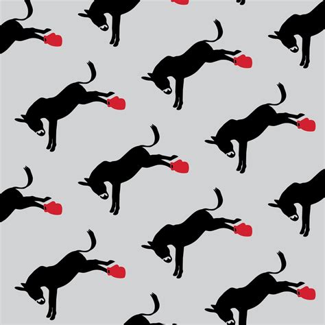 The Donkey Punch – Sox Education