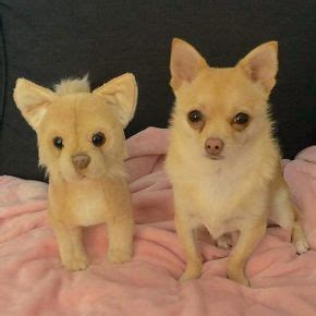 Chihuahua Stuffed Animals | Turn Your Pet into Custom Plush | Petsies